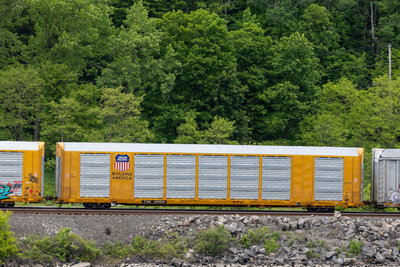 TTGX 699094