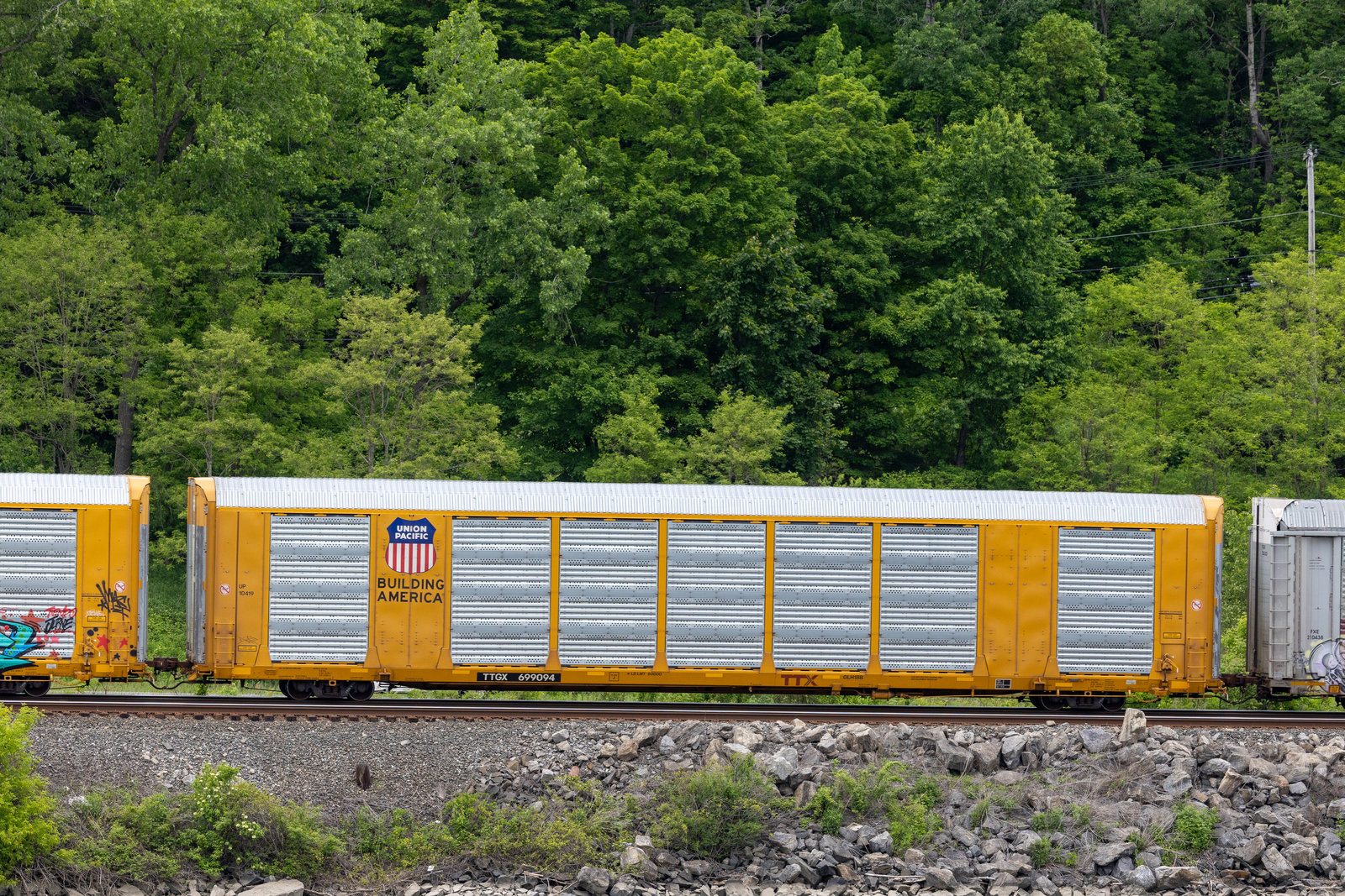 TTGX 699094