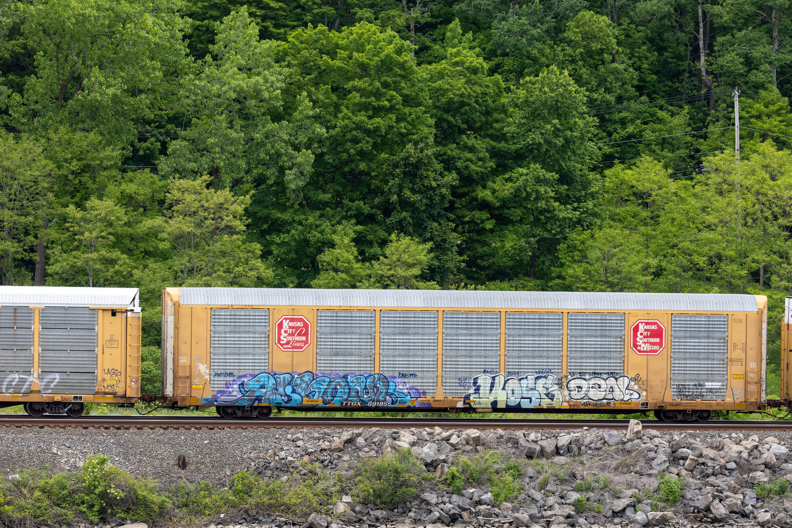 TTGX 691855