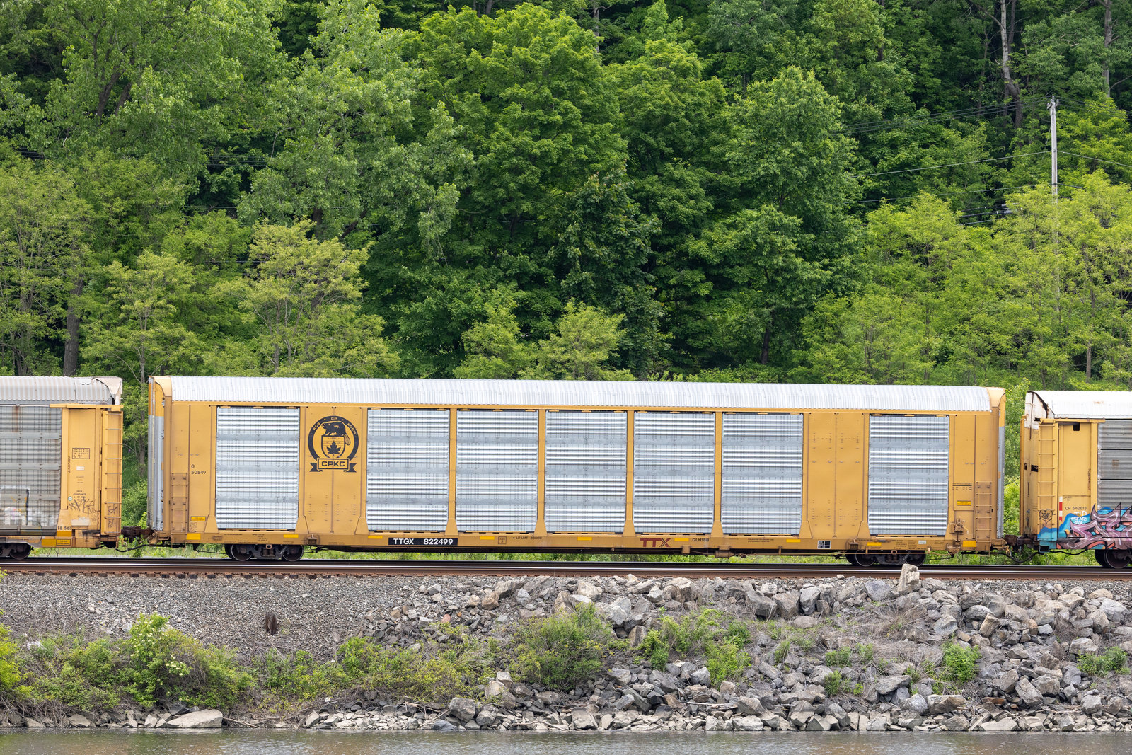 TTGX 822499