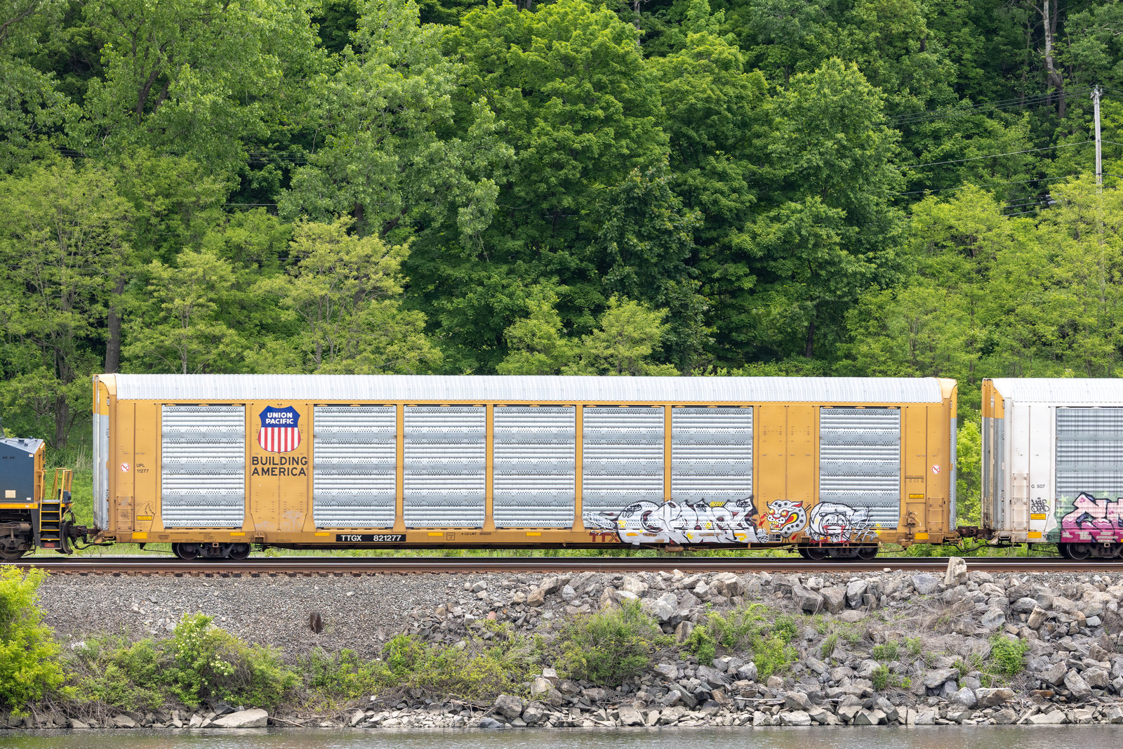 TTGX 821277