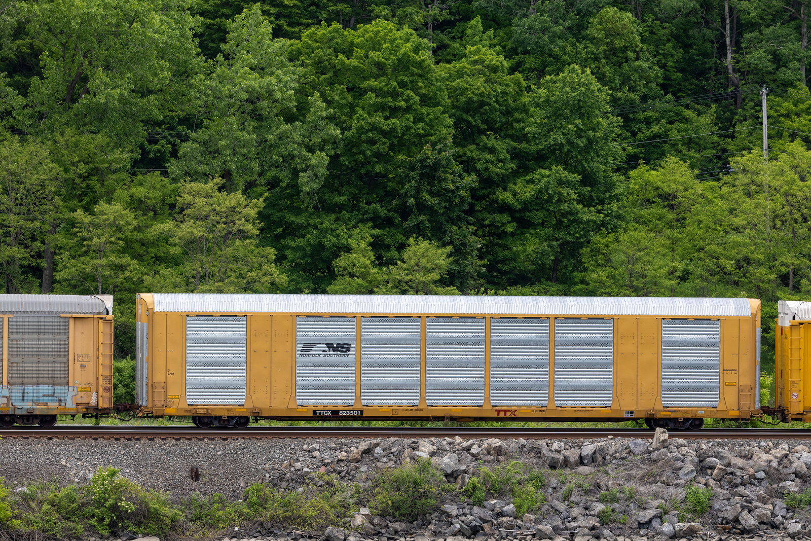 TTGX 823501