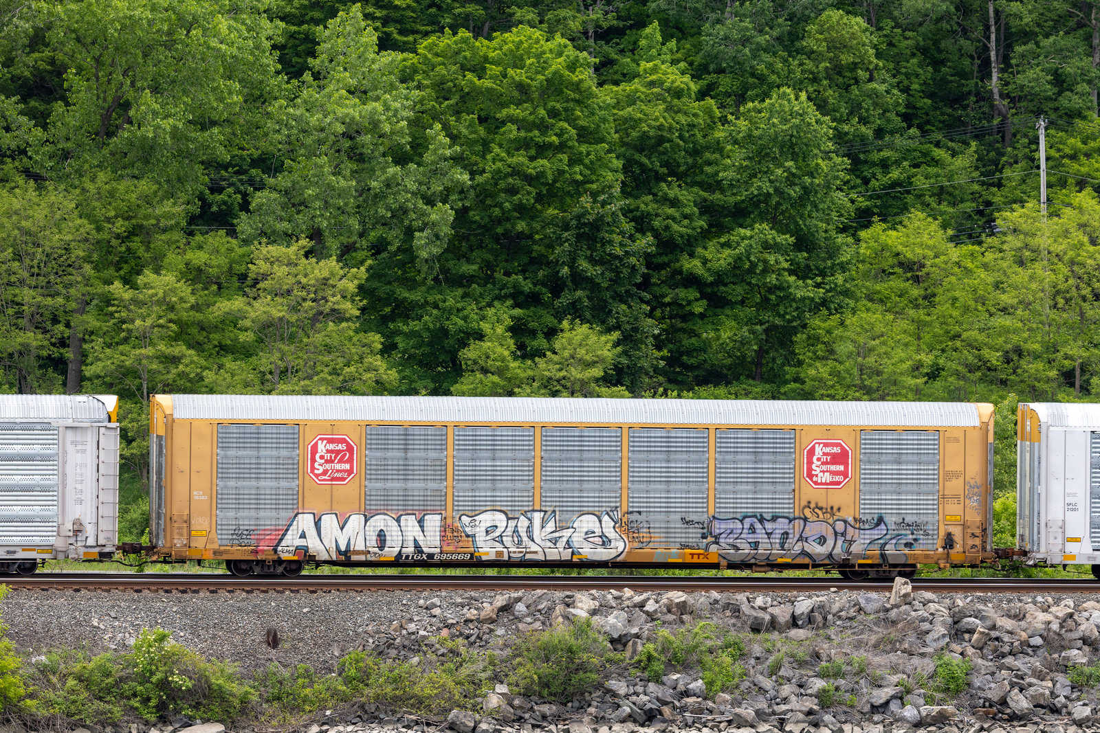 TTGX 695669