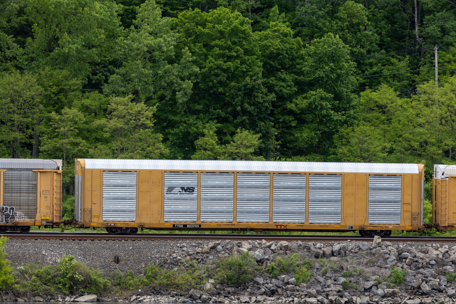TTGX 823705