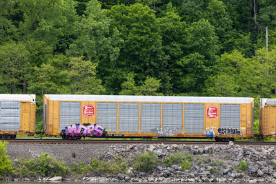 TTGX 696597