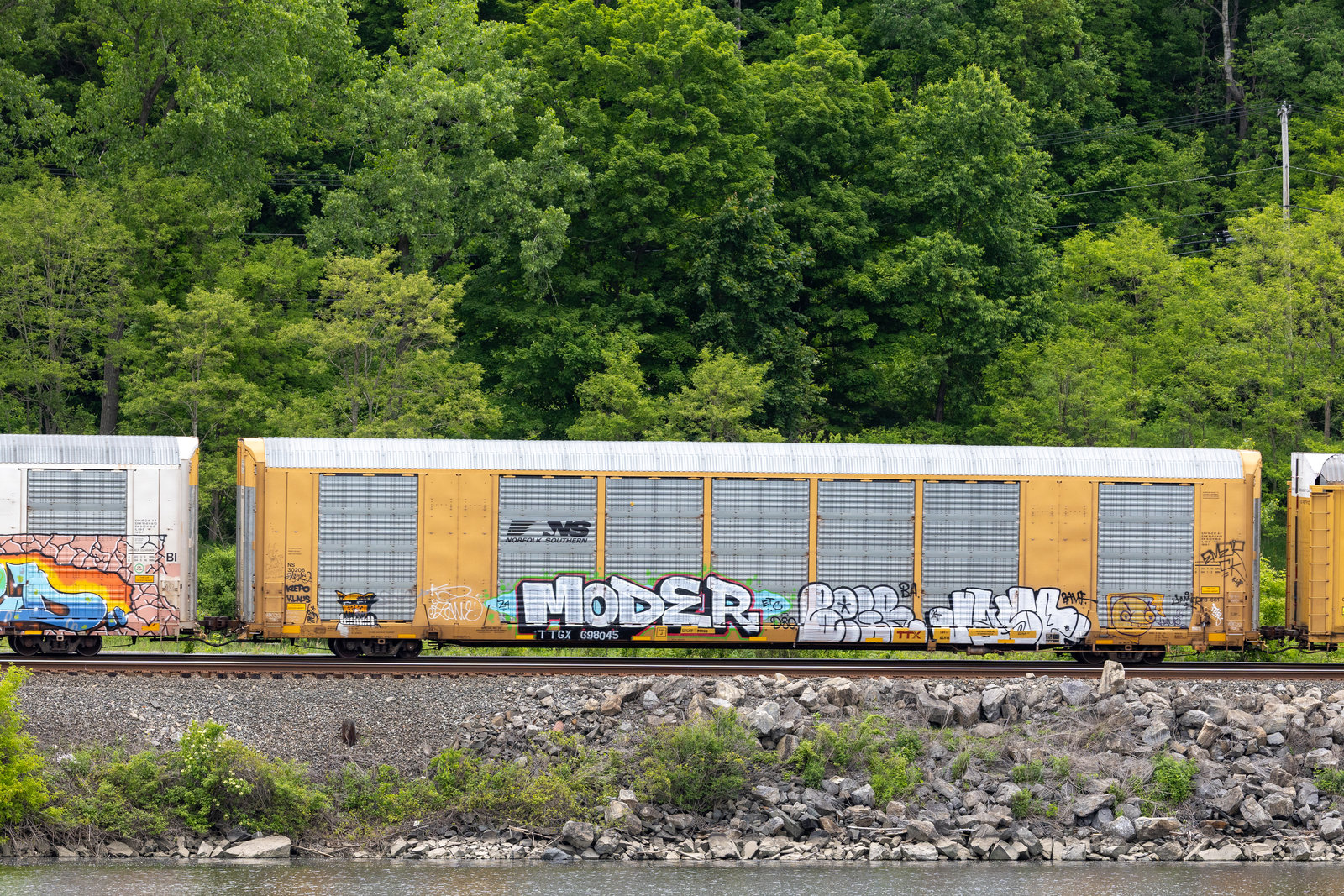 TTGX 698045
