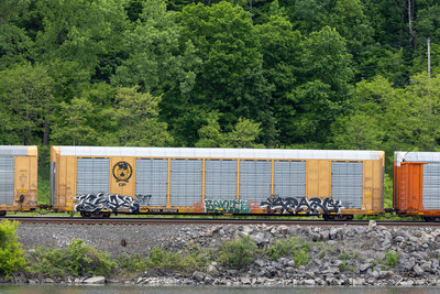 TTGX 697938