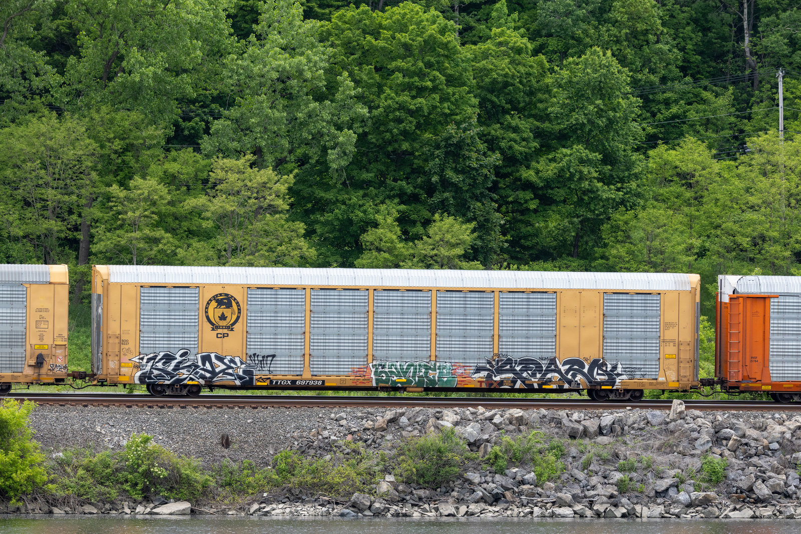 TTGX 697938