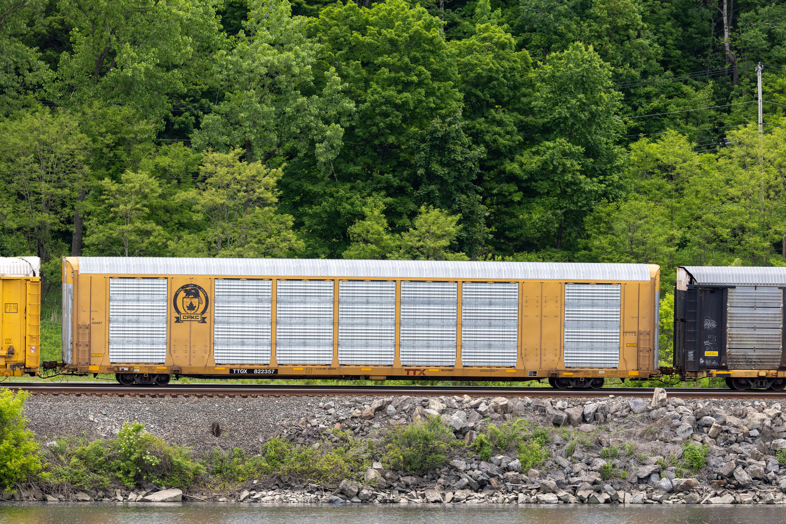 TTGX 822357