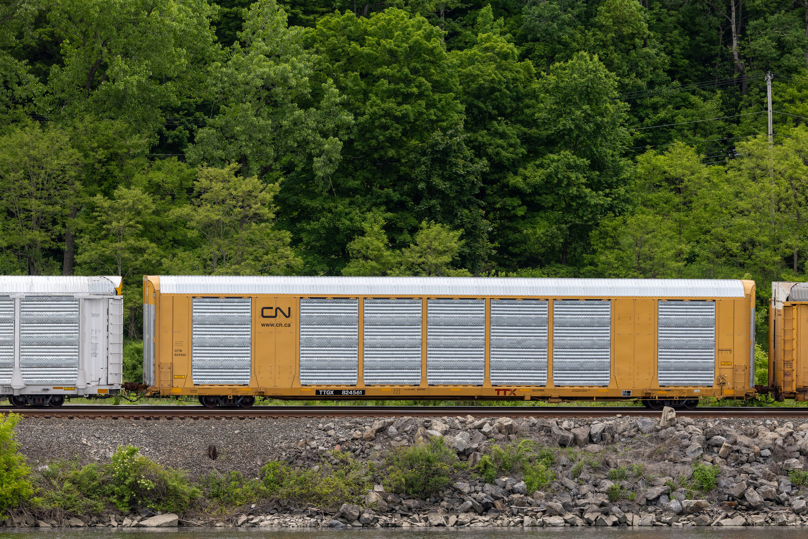 TTGX 824561