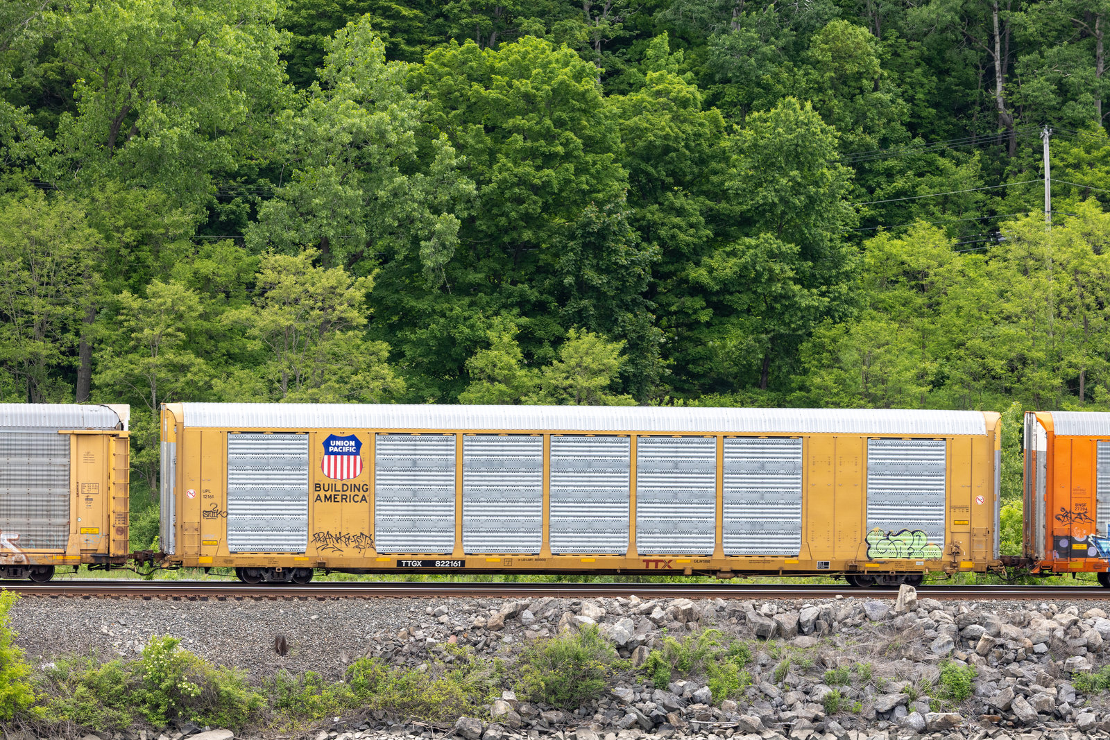 TTGX 822161
