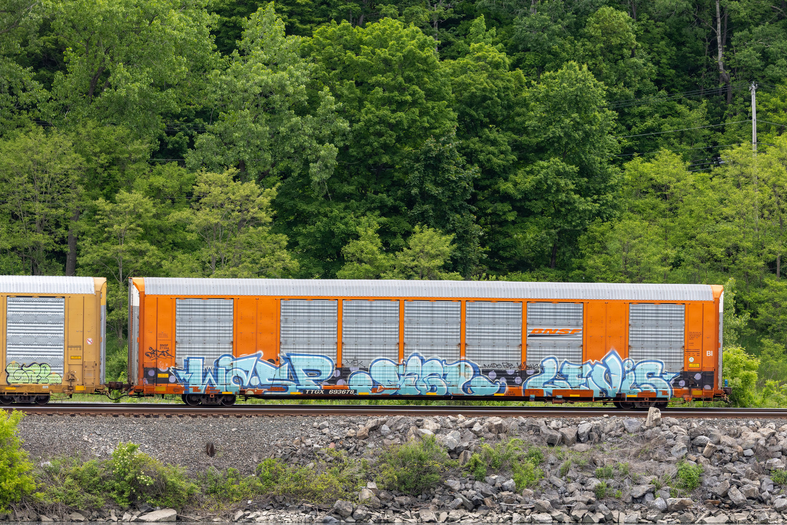 TTGX 693678