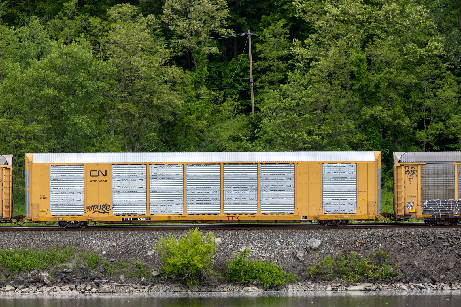 TTGX 824481