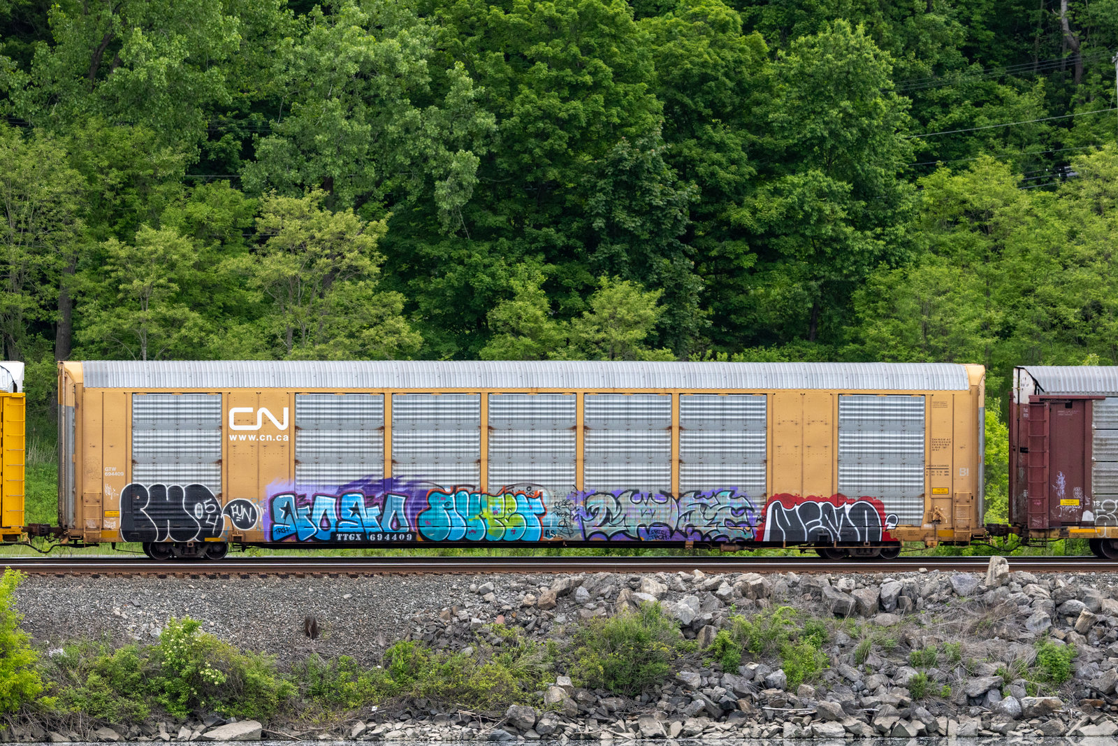 TTGX 694409