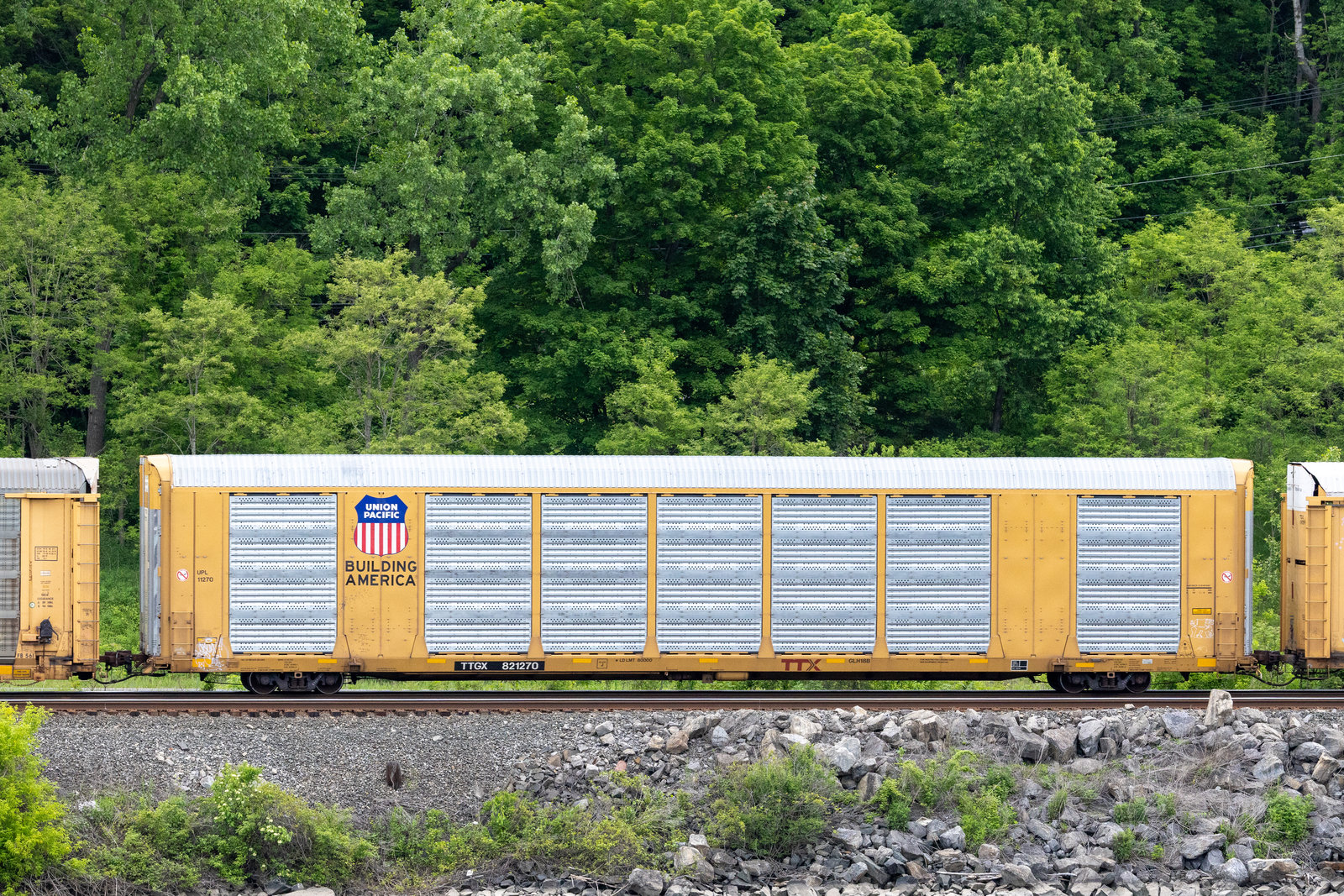 TTGX 821270