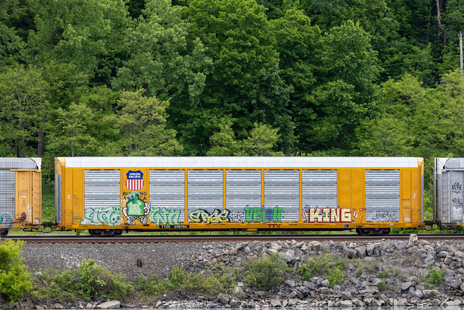 TTGX 698786