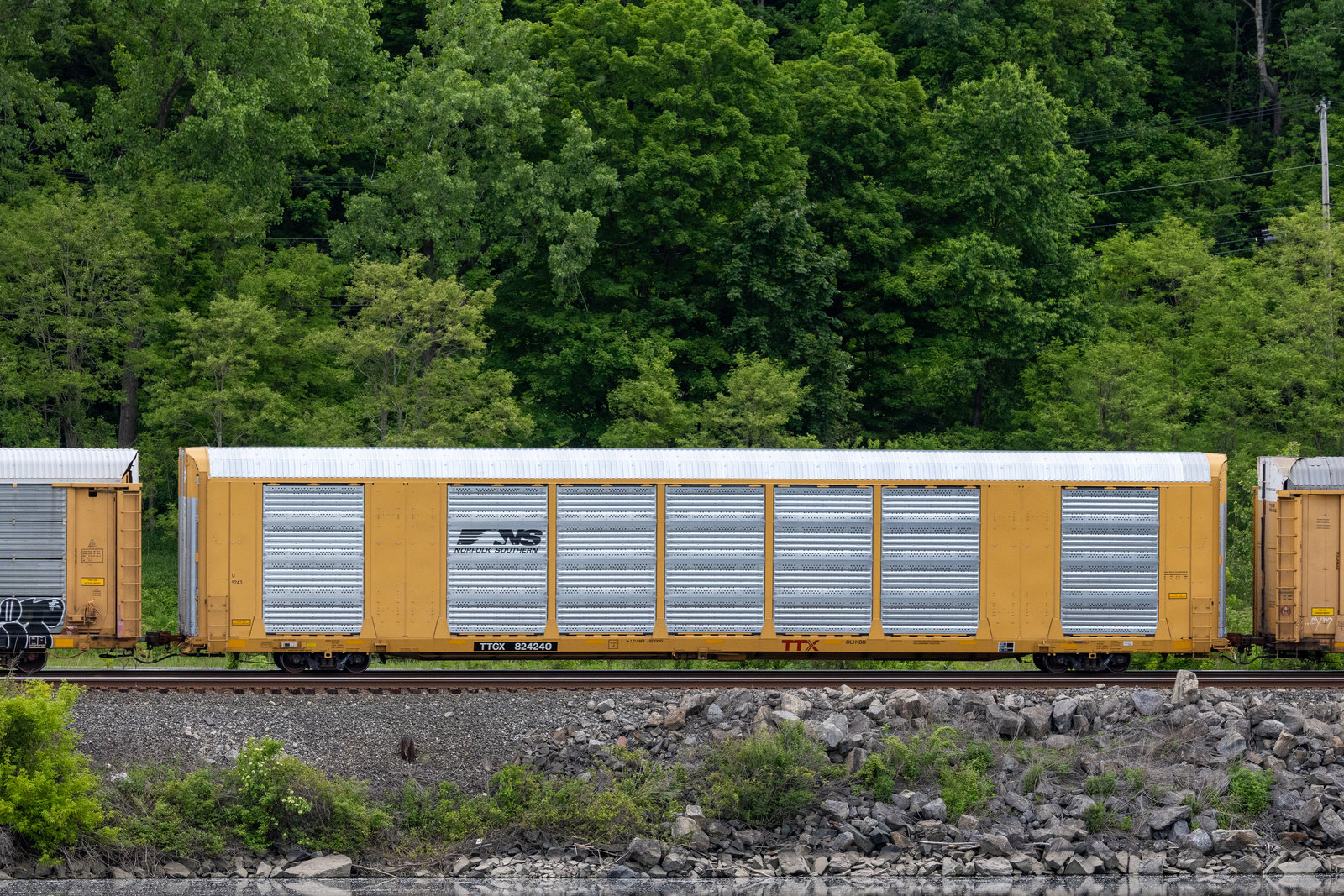 TTGX 824240