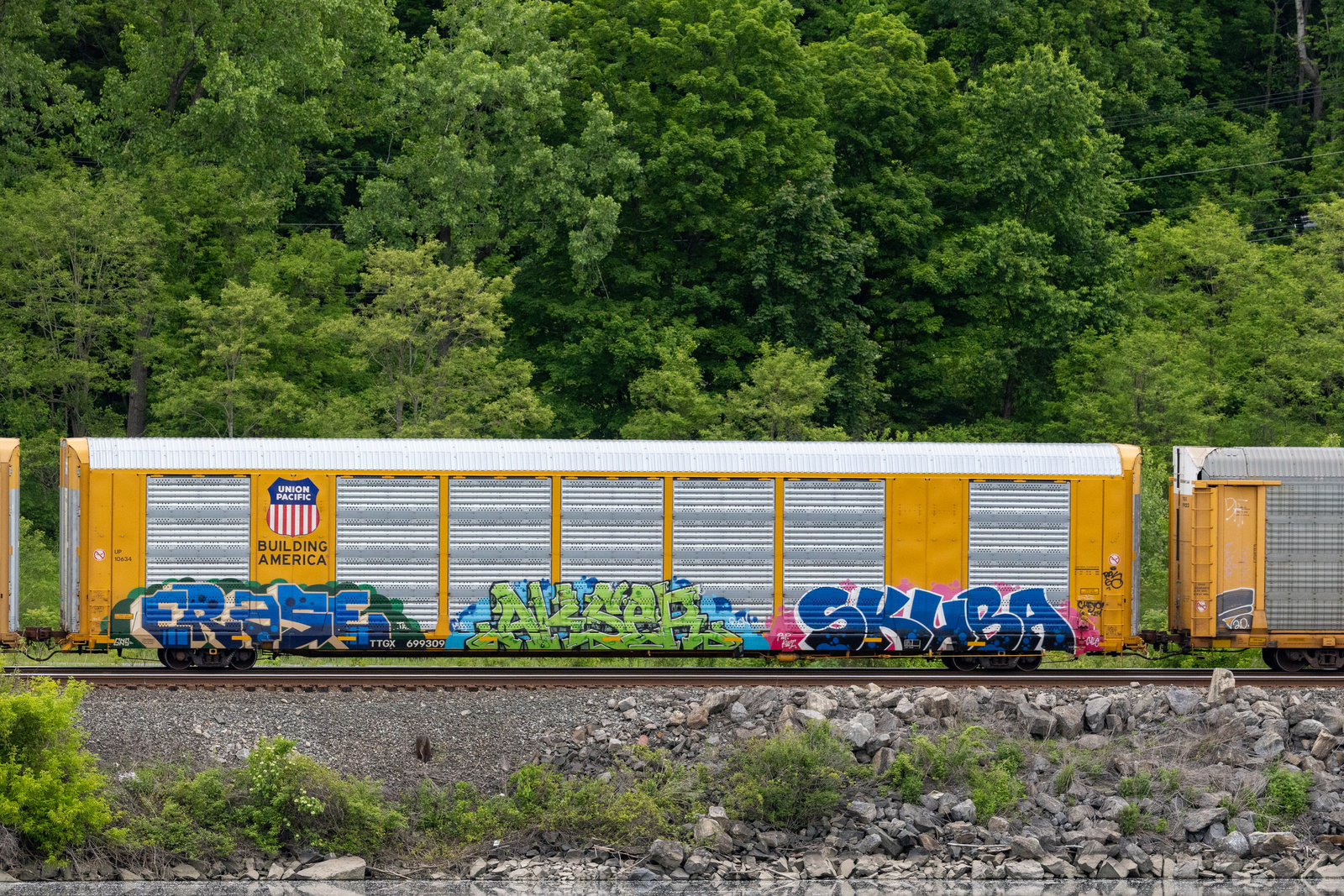 TTGX 699309