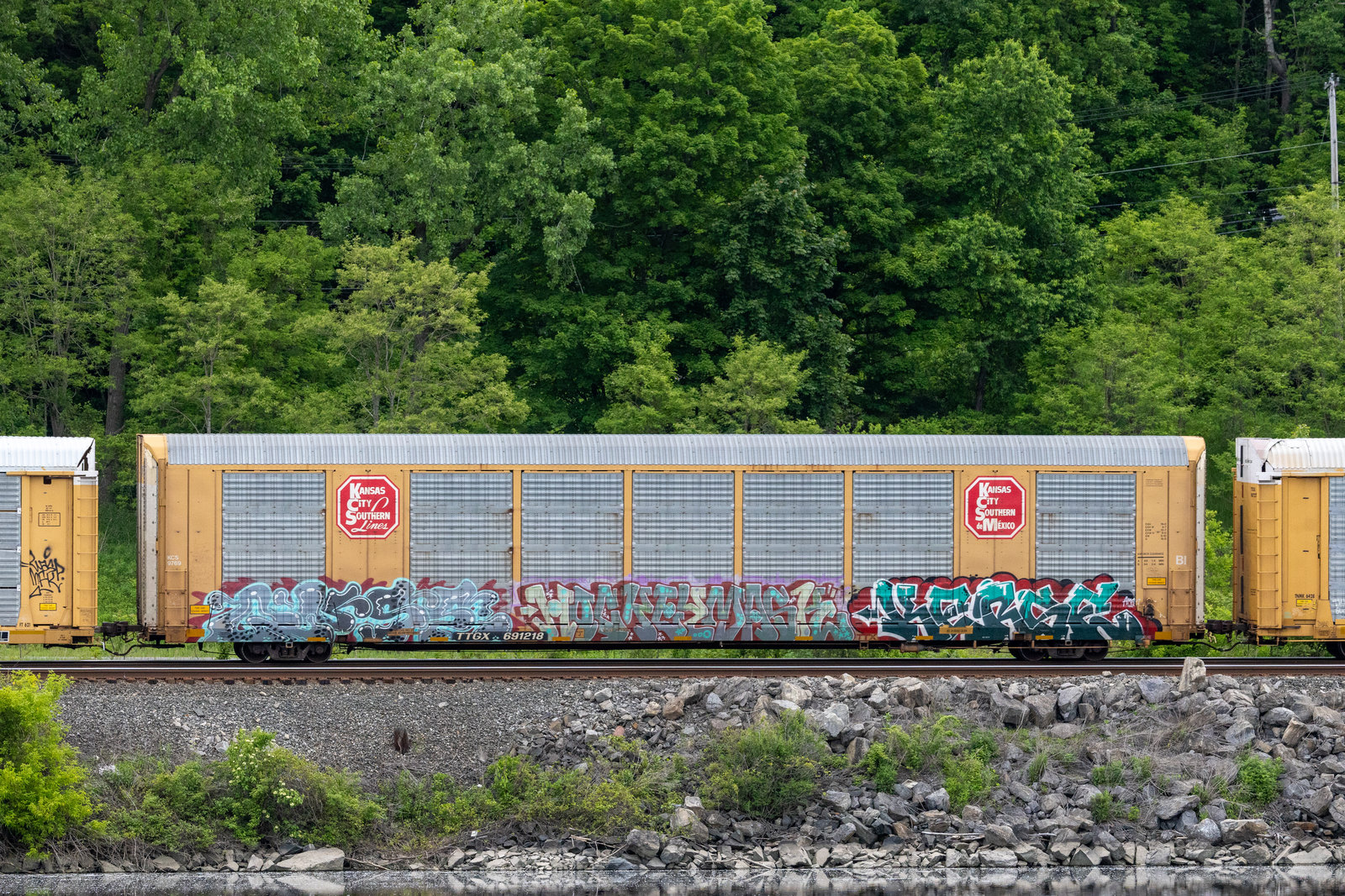 TTGX 691218