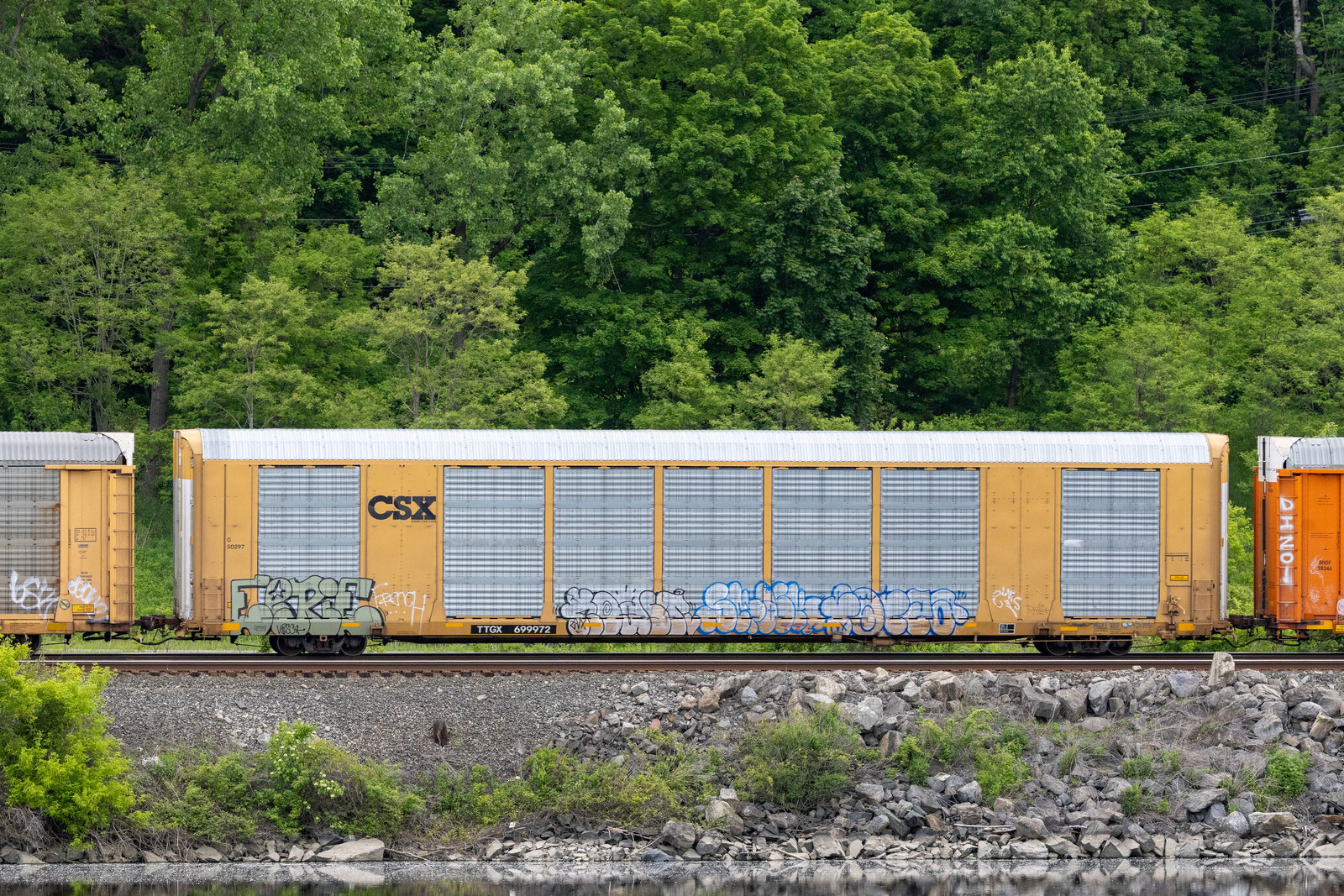 TTGX 699972