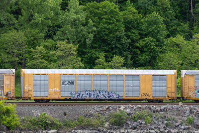 TTGX 997269