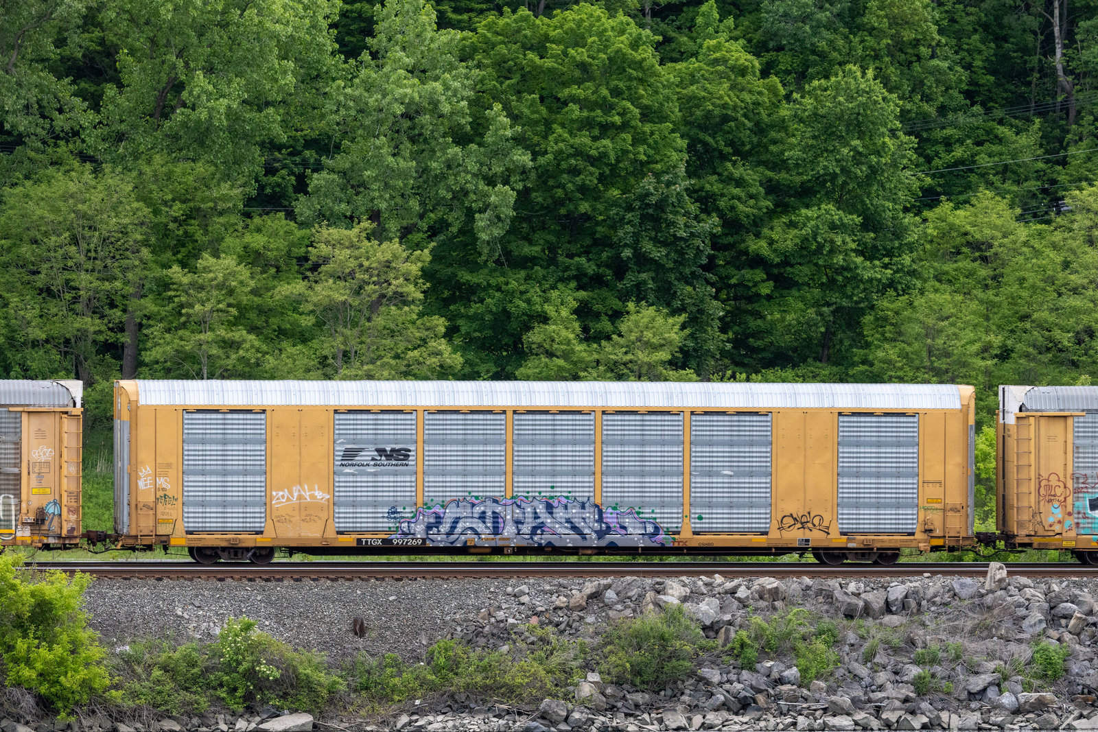 TTGX 997269