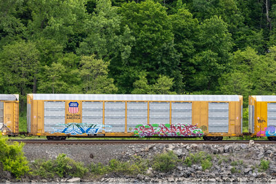 TTGX 821086
