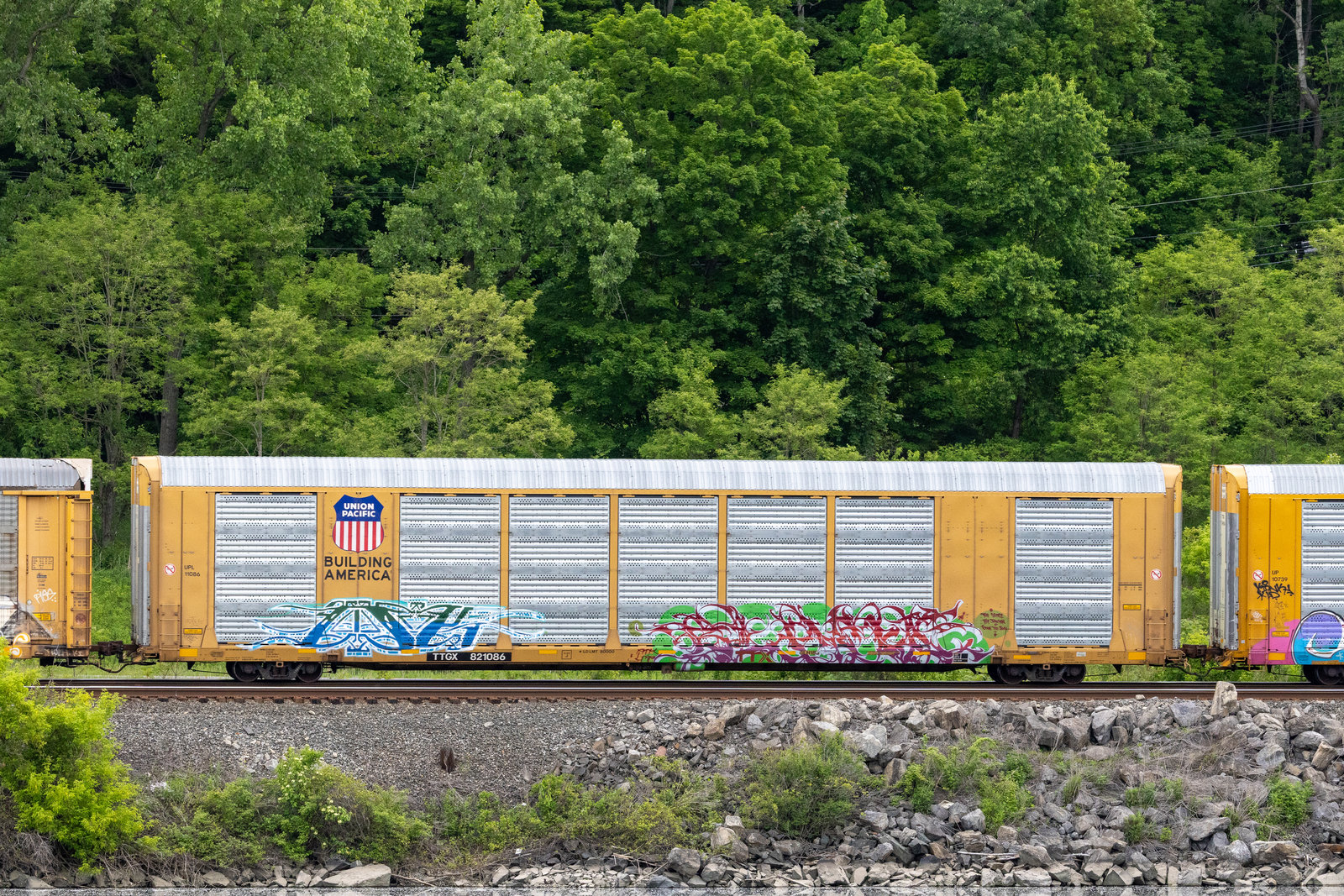 TTGX 821086
