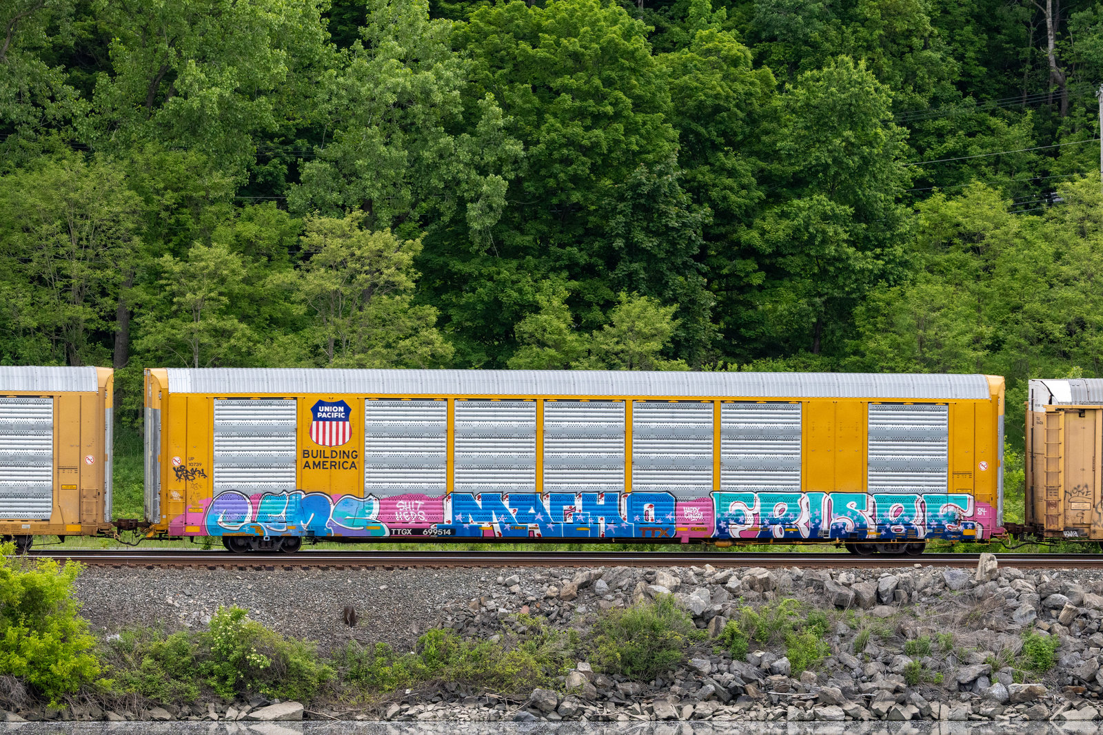 TTGX 699514