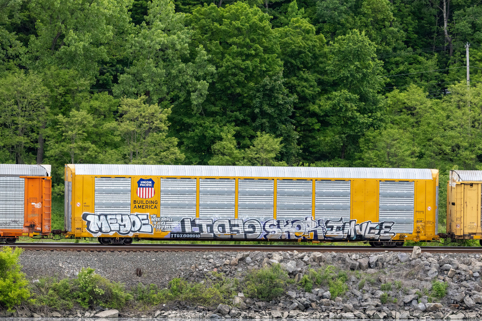 TTGX 698918