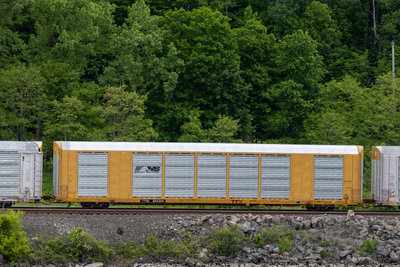 TTGX 824344