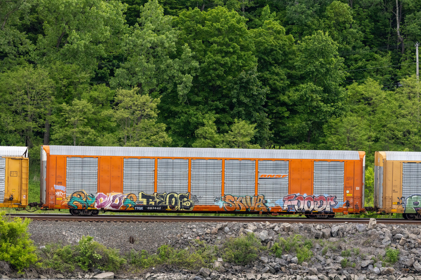 TTGX 693442