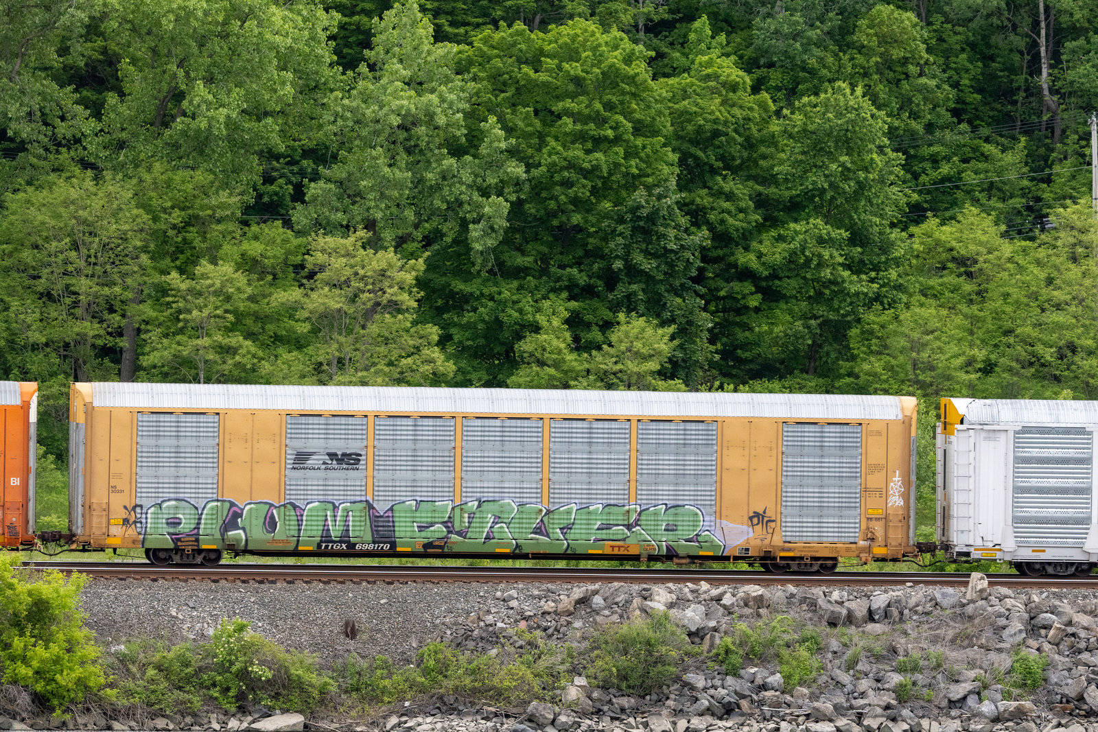 TTGX 698170