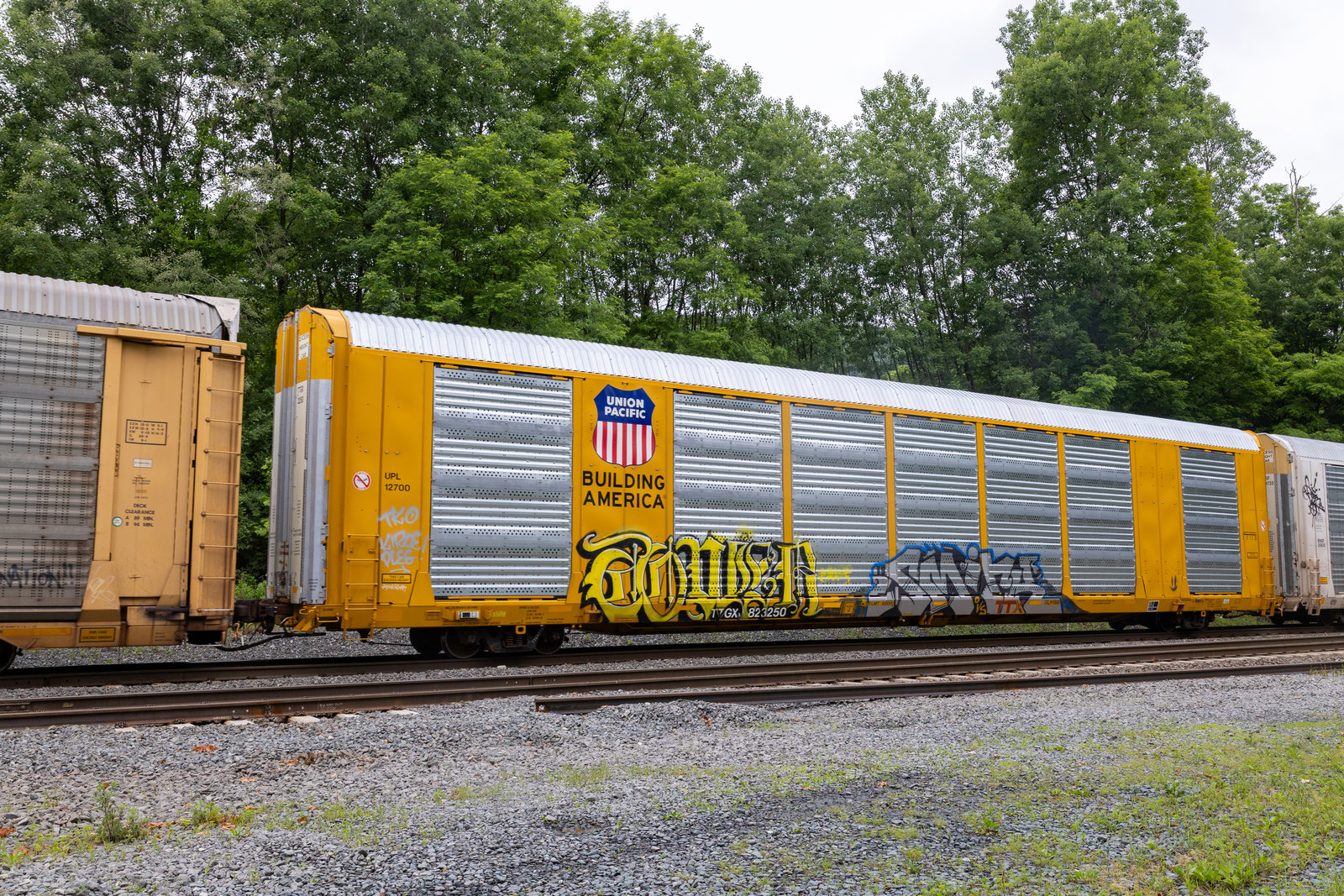 TTGX 823250