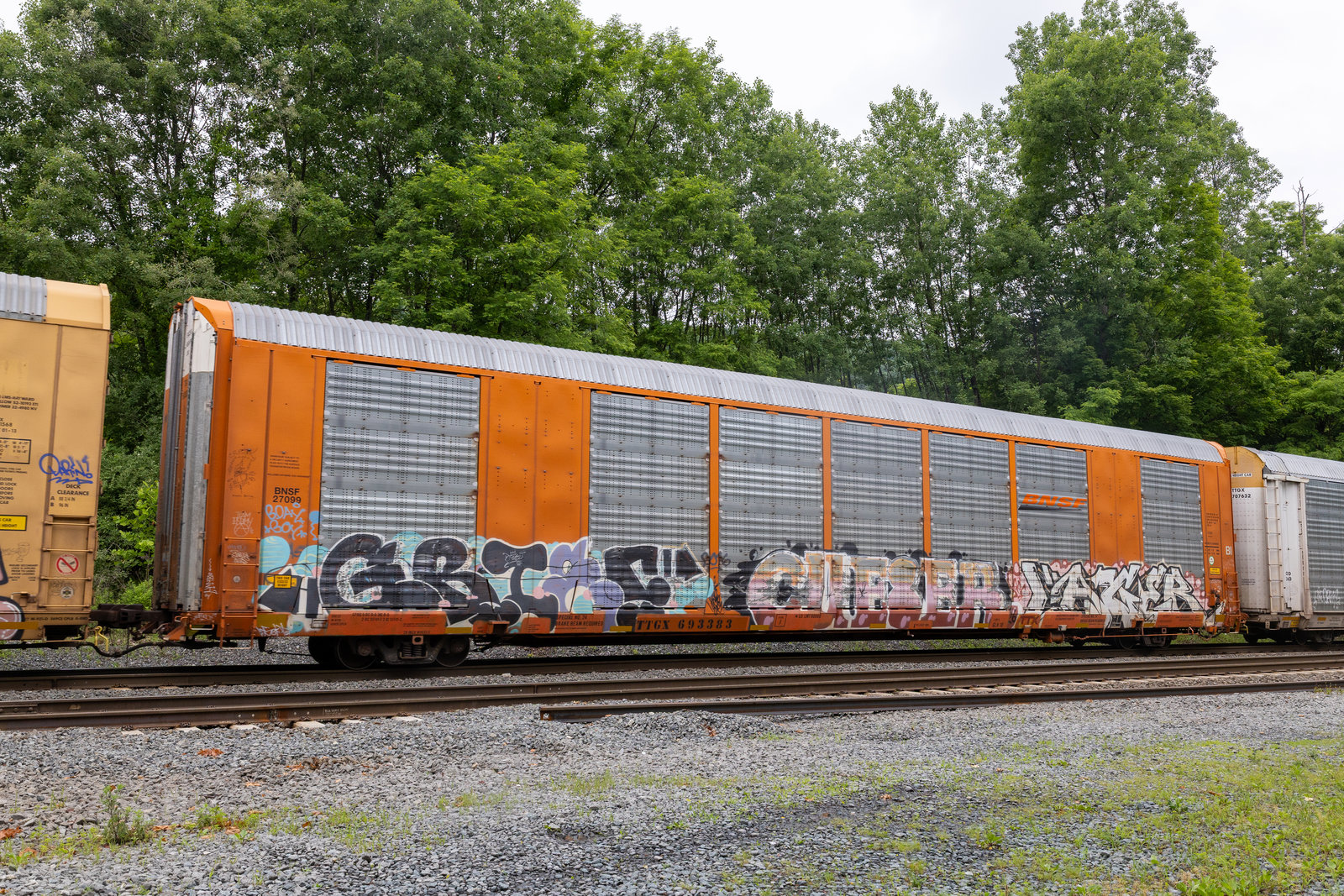 TTGX 693383