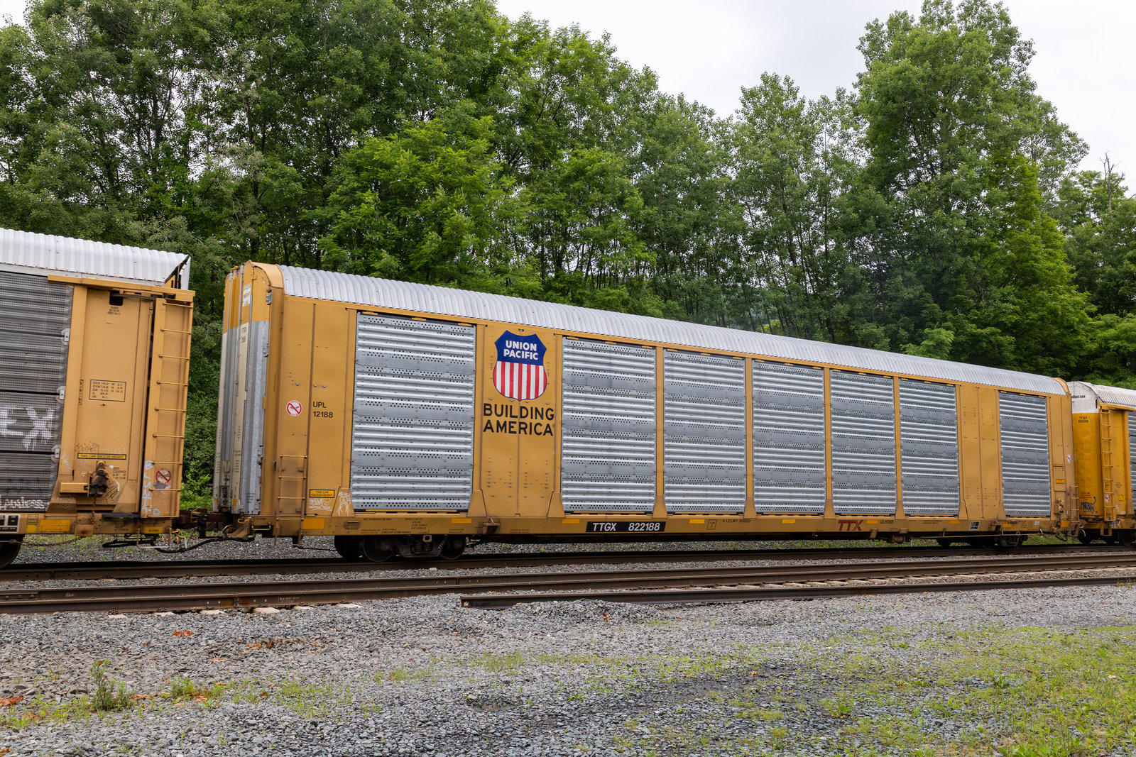 TTGX 822188