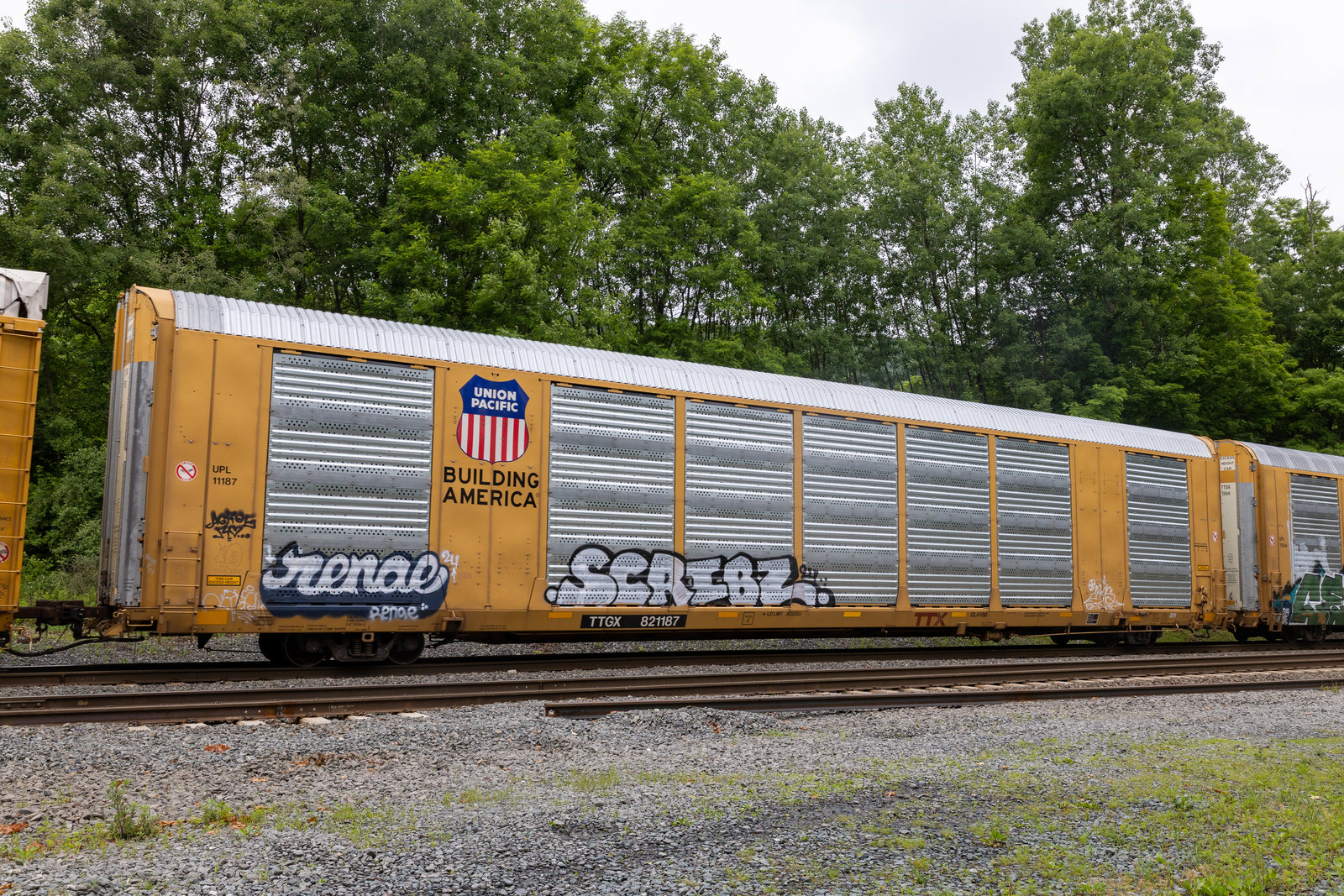 TTGX 821187