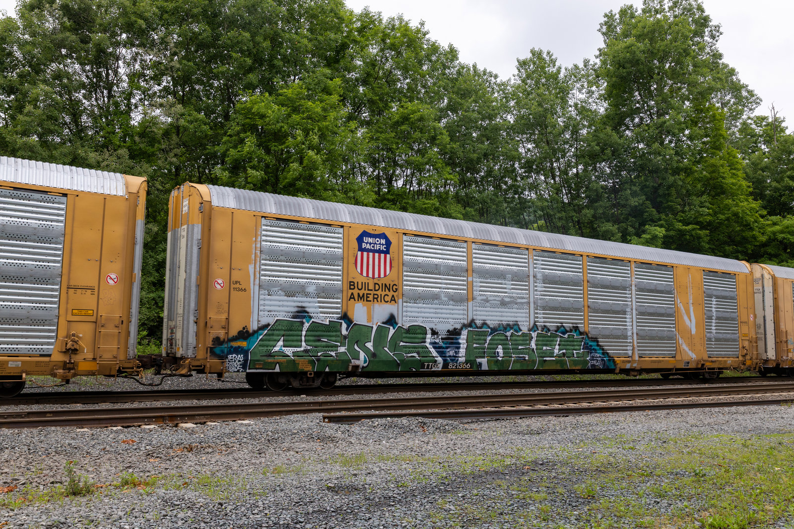 TTGX 821366