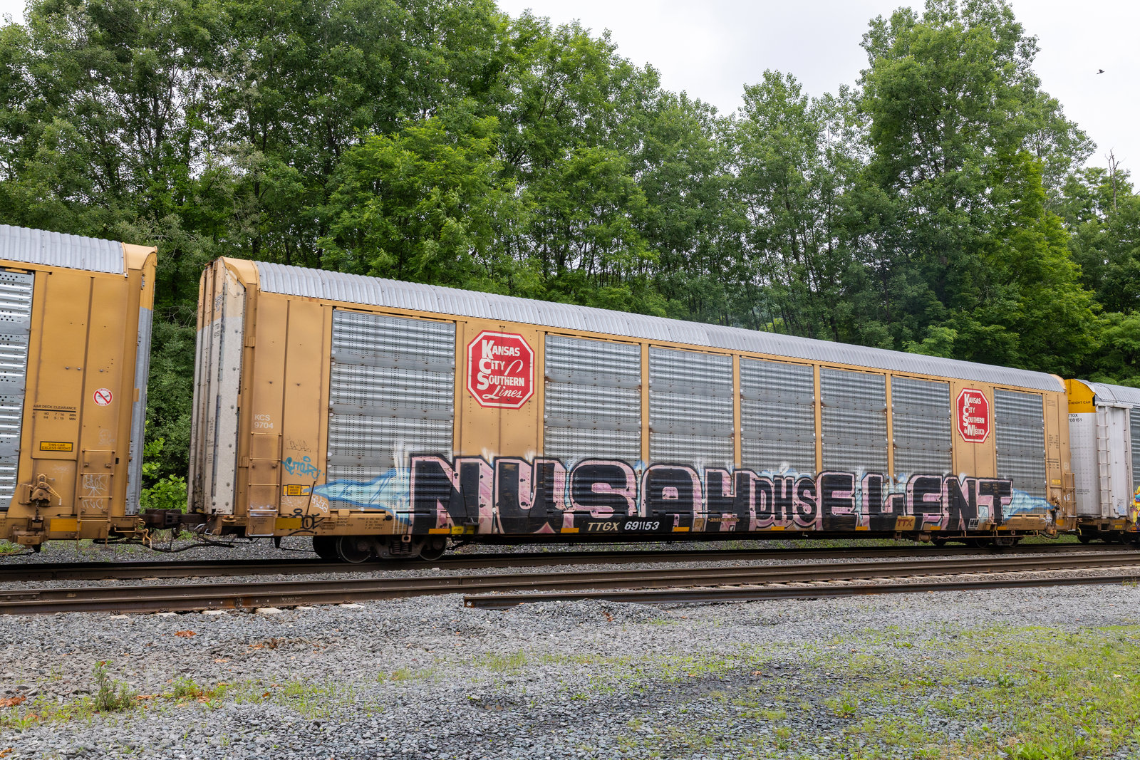 TTGX 691153