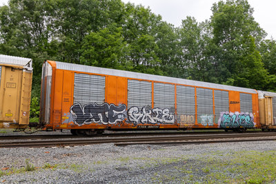 TTGX 694734