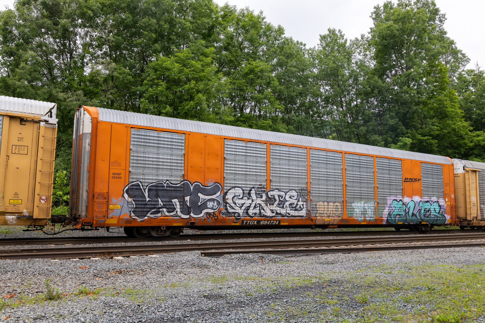 TTGX 694734
