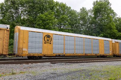 TTGX 822799