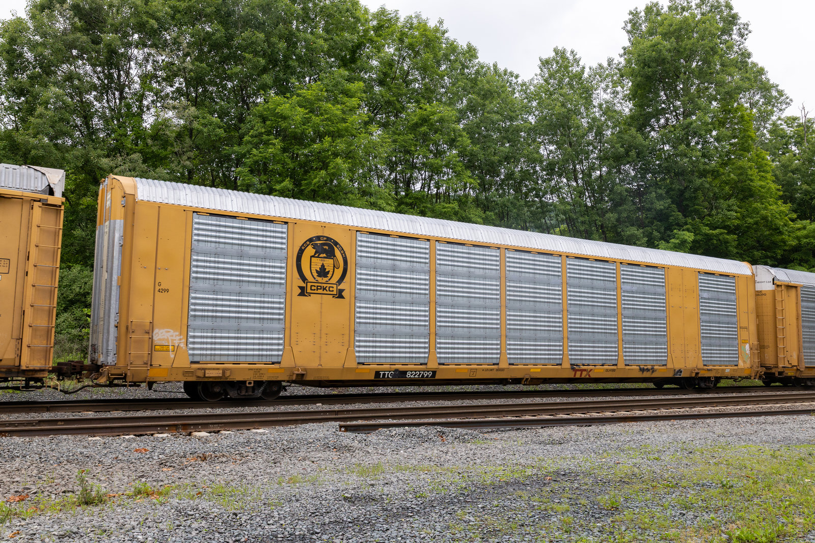TTGX 822799