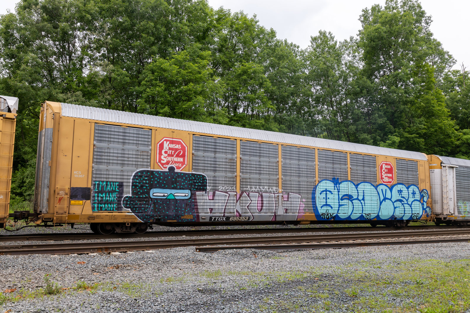 TTGX 695353