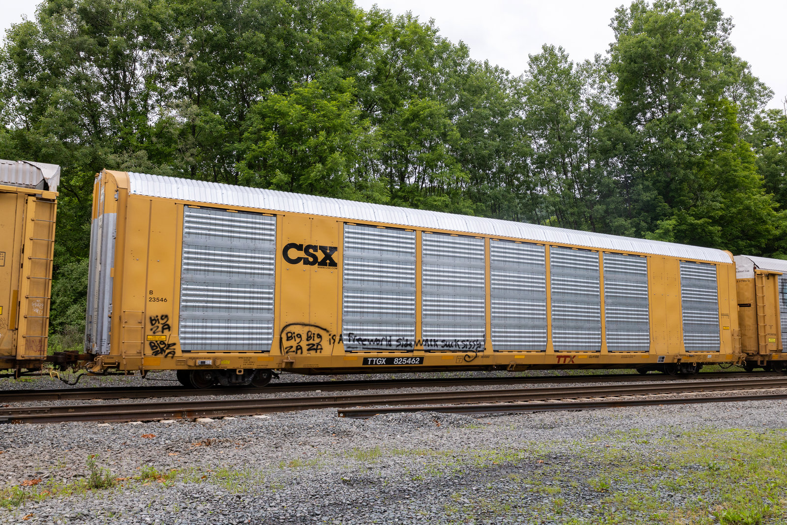 TTGX 825462