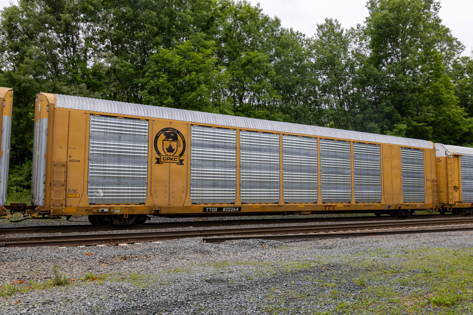 TTGX 822264