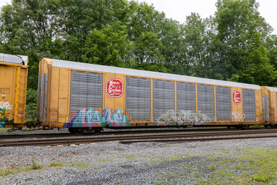 TTGX 696631