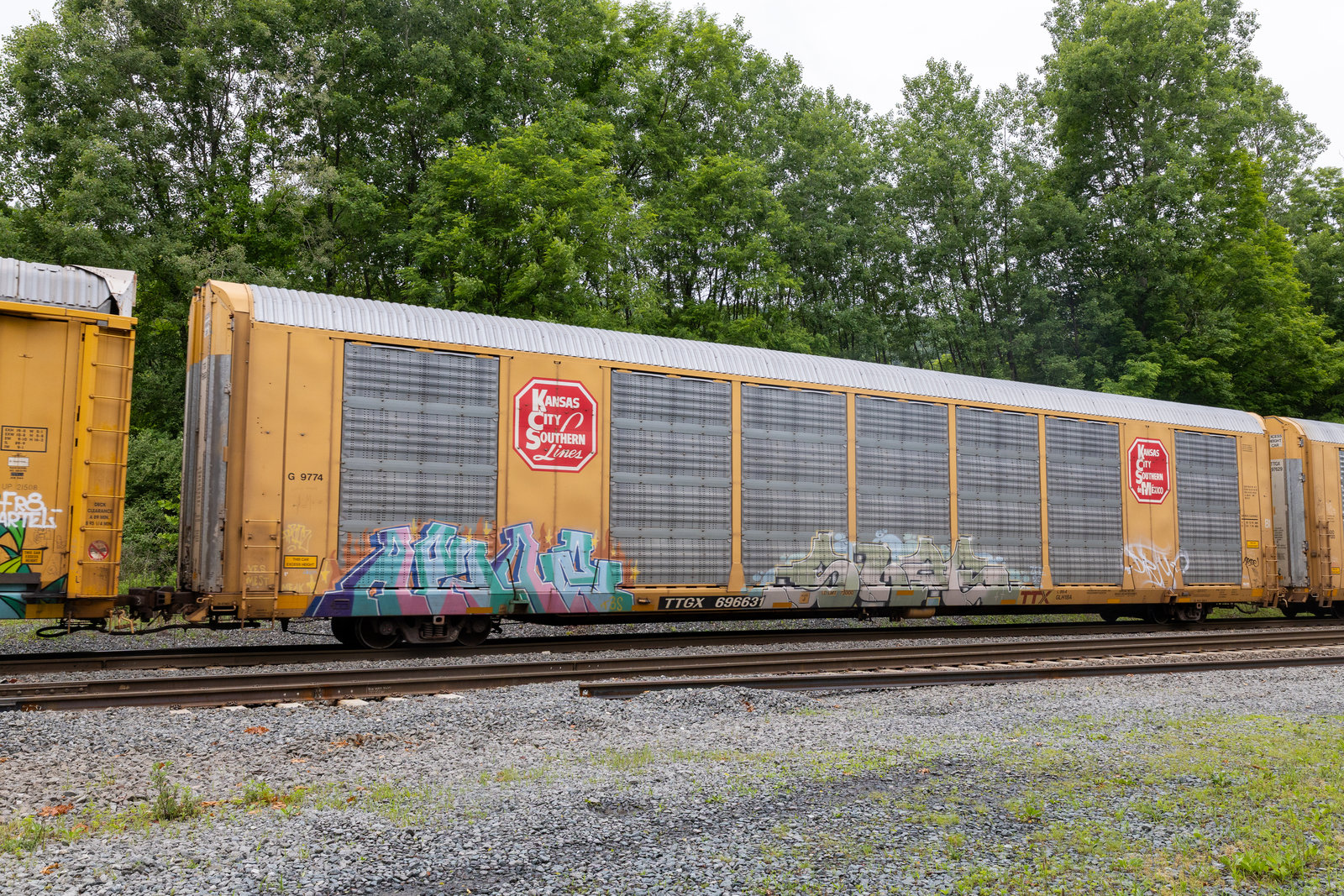 TTGX 696631