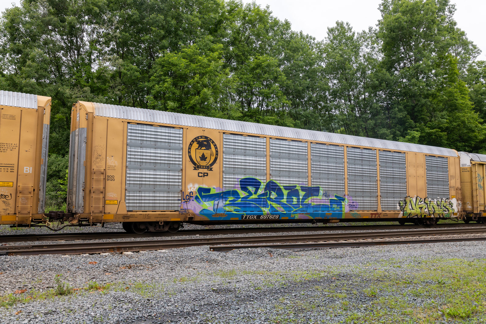 TTGX 697629