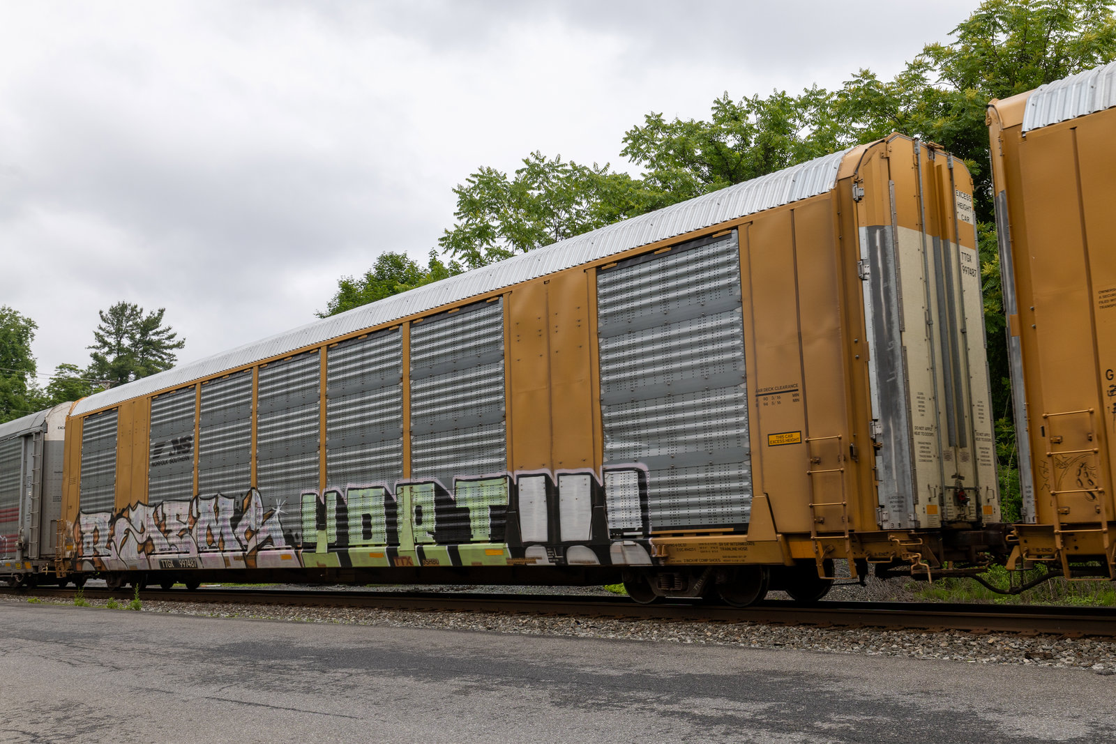 TTGX 997487
